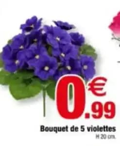 Bouquet de 5 violettes