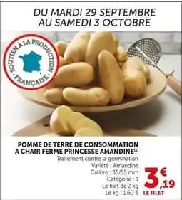Princesse amandine - pomme de terre de consommation a chair ferme