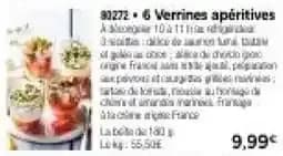 6 Verrines apéritives