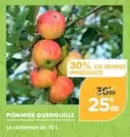 Pommier Quenouille