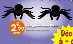 Araignée velue