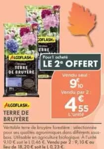 Algoflash Terre de Bruyère