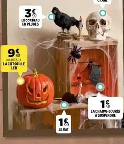 Le Corbeau en Plumes