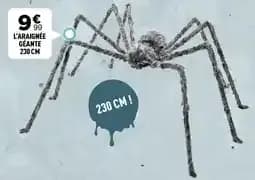 L'araignée Géante