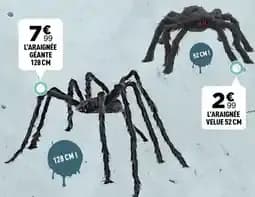L'araignée Géante