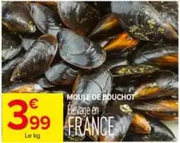 Moule de Bouchot