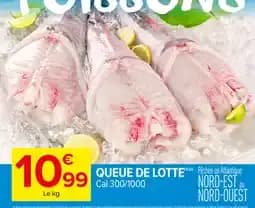Queue de Lotte