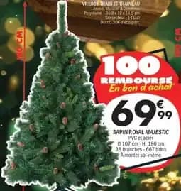 Sapin Royal Majestic