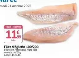 Promo - filet d'églefin 100/200