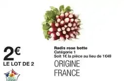 Radis rose botte