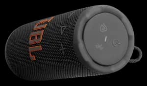 Enceinte Jbl Grip Noir