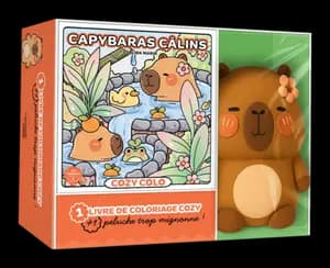 COFFRET COZY + PELUCHE