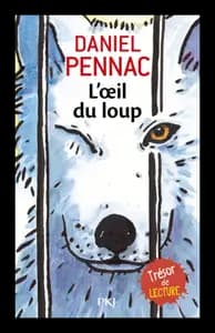ROMANS JEUNESSE