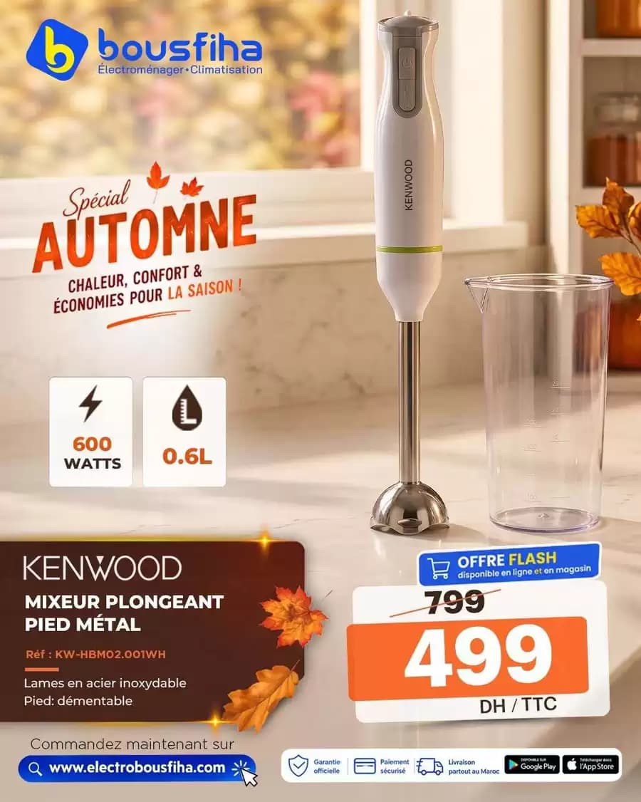 MIXEUR PLONGEANT PIED MÉTAL Réf : KW-HBM02.001WH Lames en acier inoxydable Pied: démentable 600 WATTS 0.6L