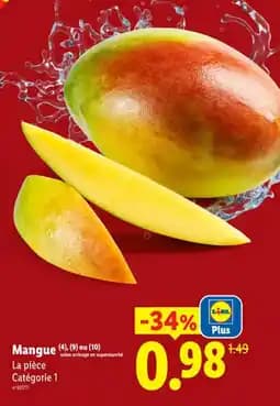 Mangue