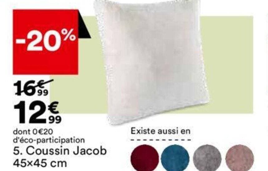 Coussin Jacob 45x45 cm