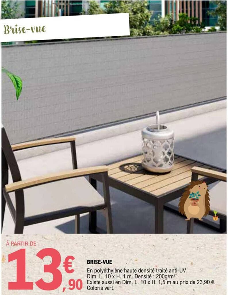 BRISE-VUE