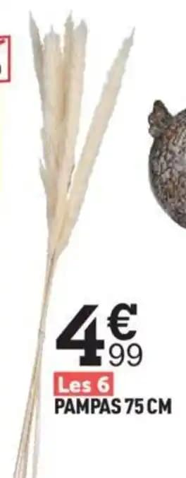 PAMPAS 75 CM