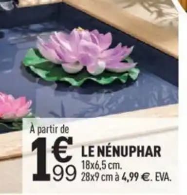 LE NÉNUPHAR 18x6,5 cm.
