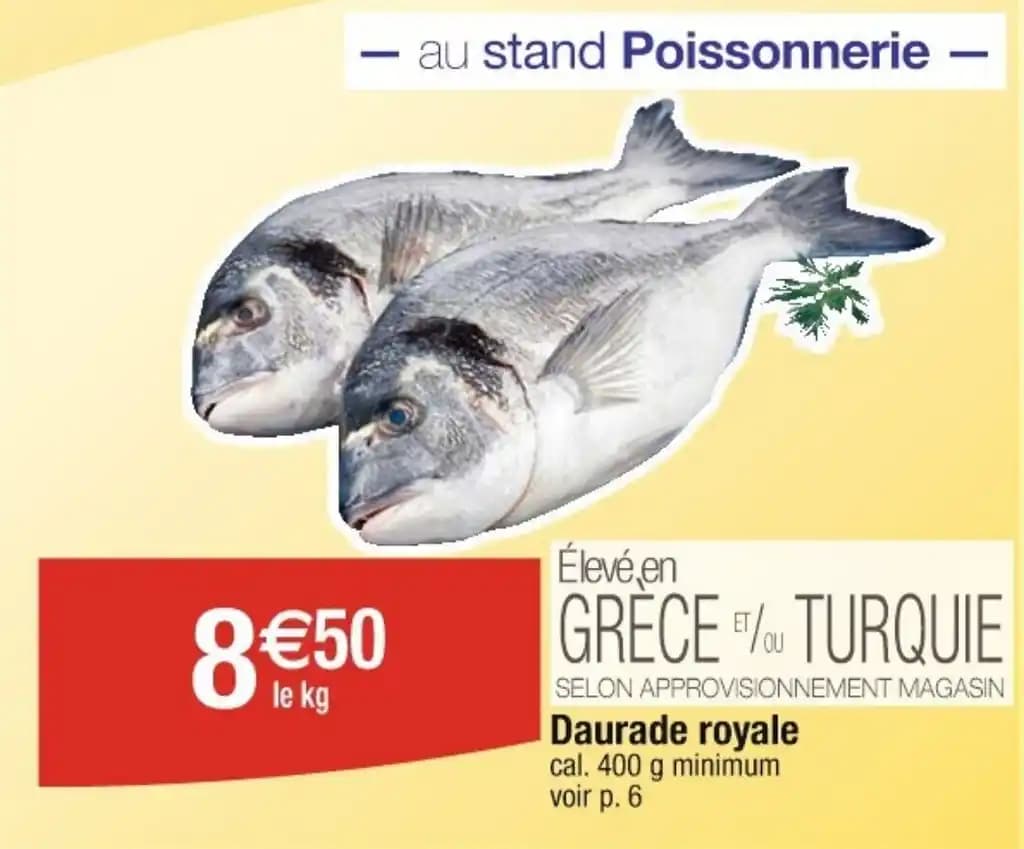 Daurade royale