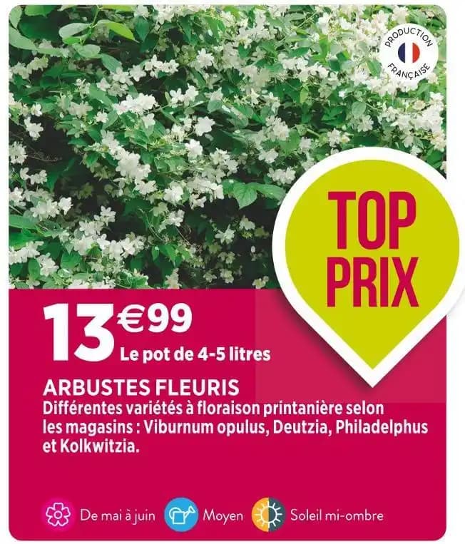 ARBUSTES FLEURIS