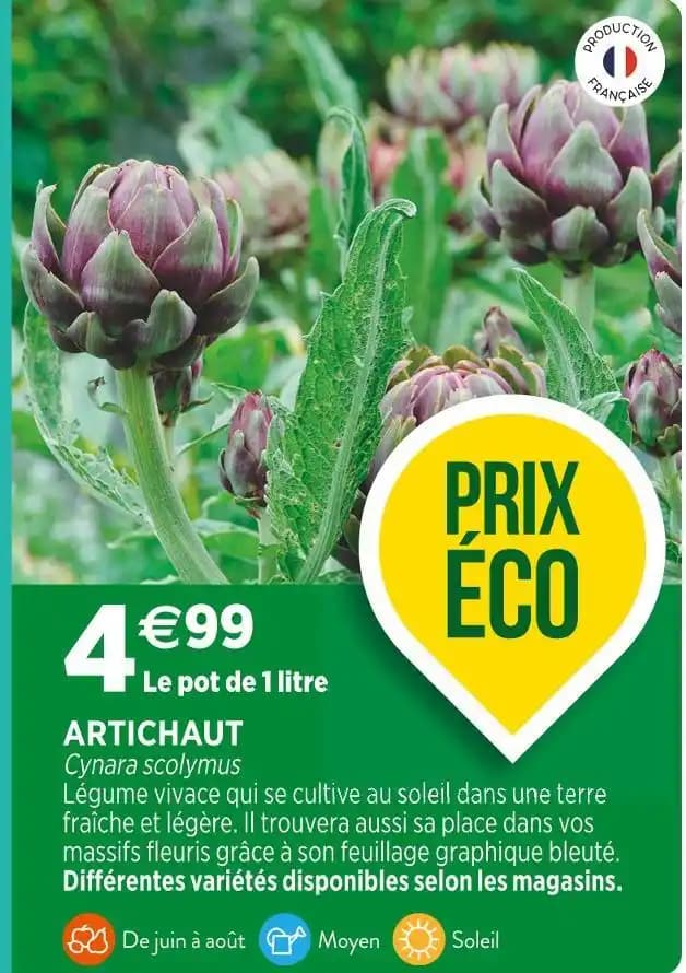 ARTICHAUT