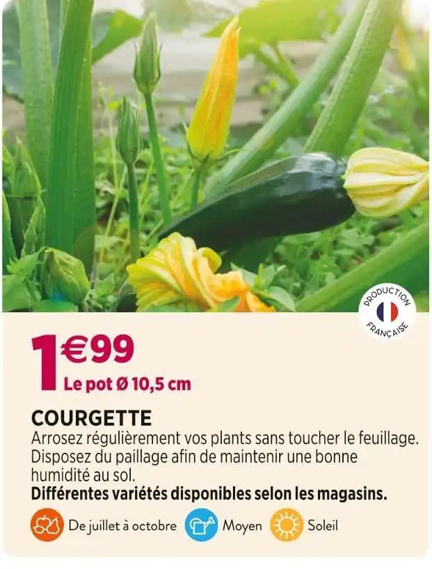 COURGETTE