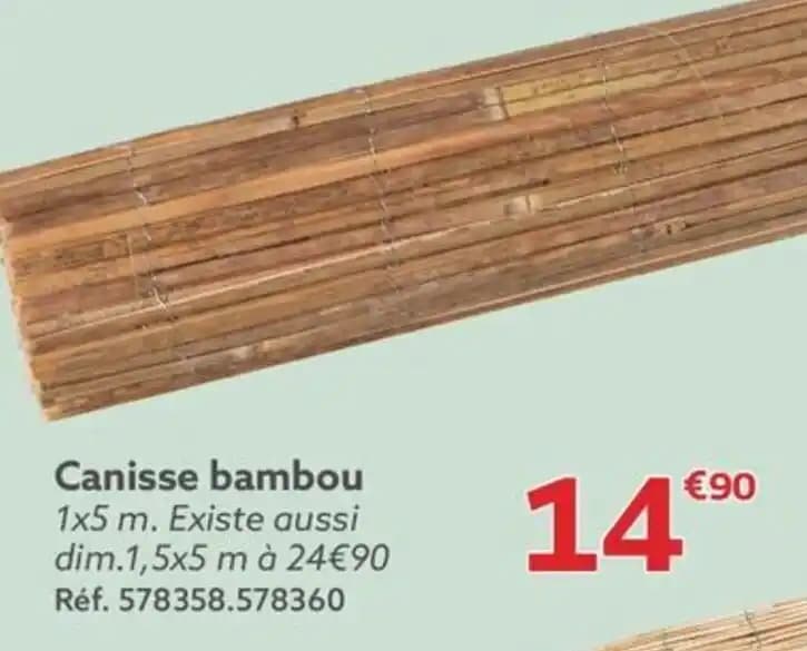 Canisse bambou