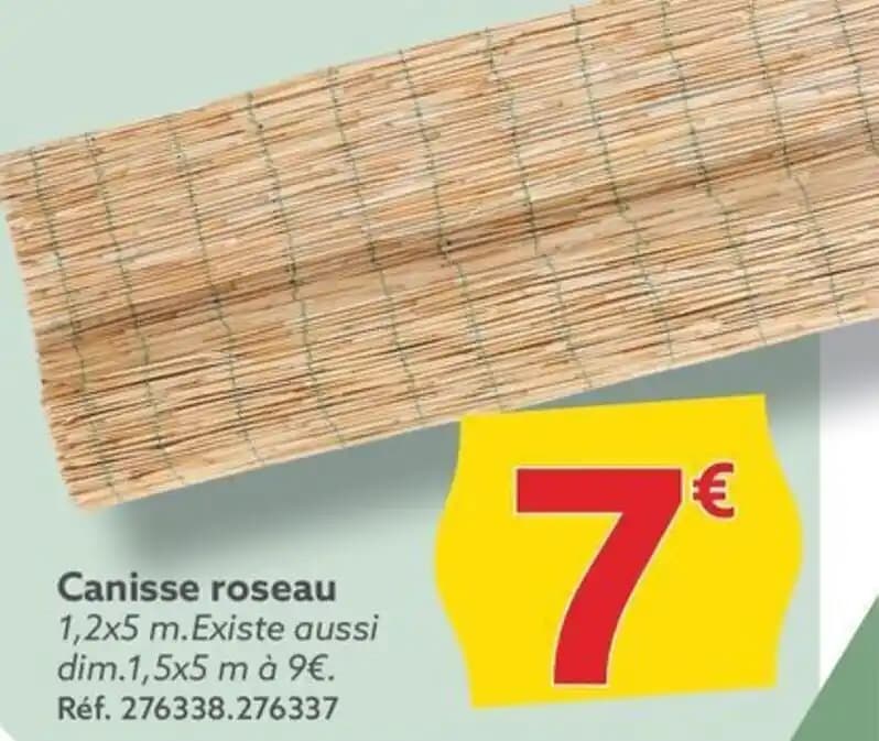 Canisse roseau