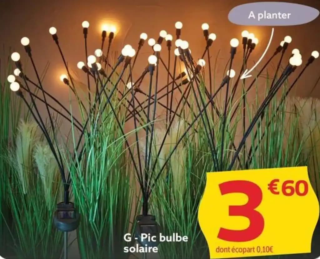 G - Pic bulbe solaire