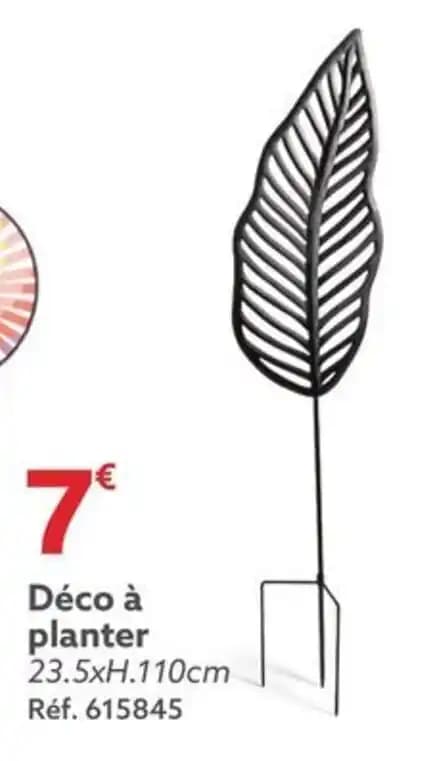 Déco à planter