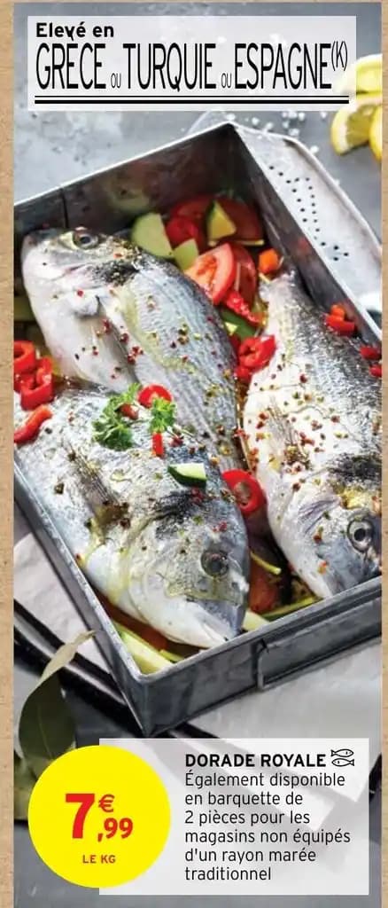 DORADE ROYALE