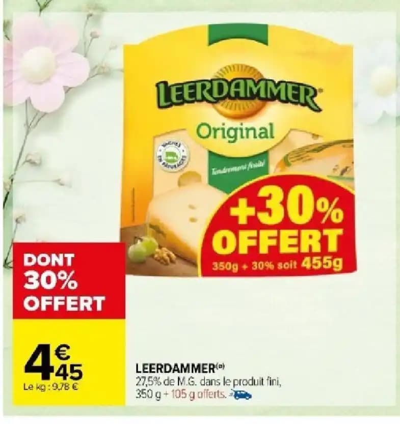 LEERDAMMER(a)