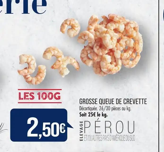 GROSSE QUEUE DE CREVETTE