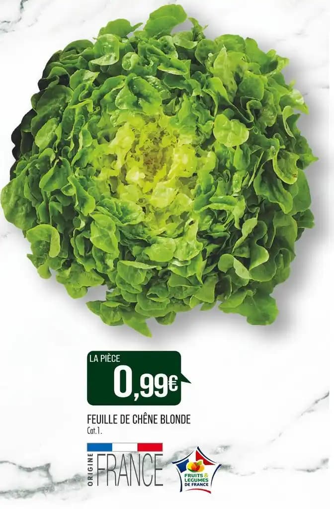 FEUILLE DE CHÊNE BLONDE