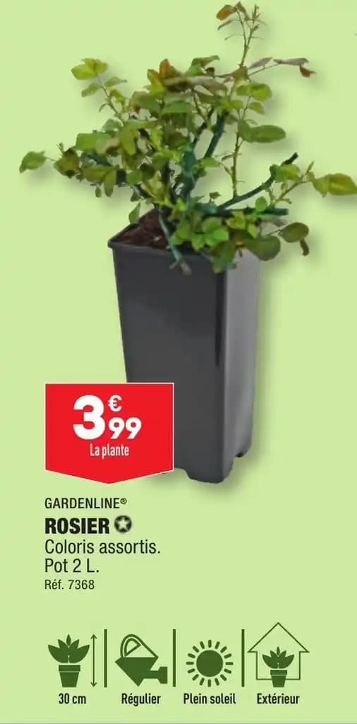 GARDENLINE® ROSIER✪