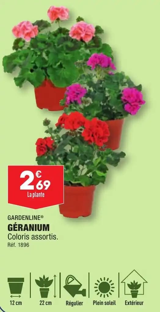 GARDENLINE® GÉRANIUM