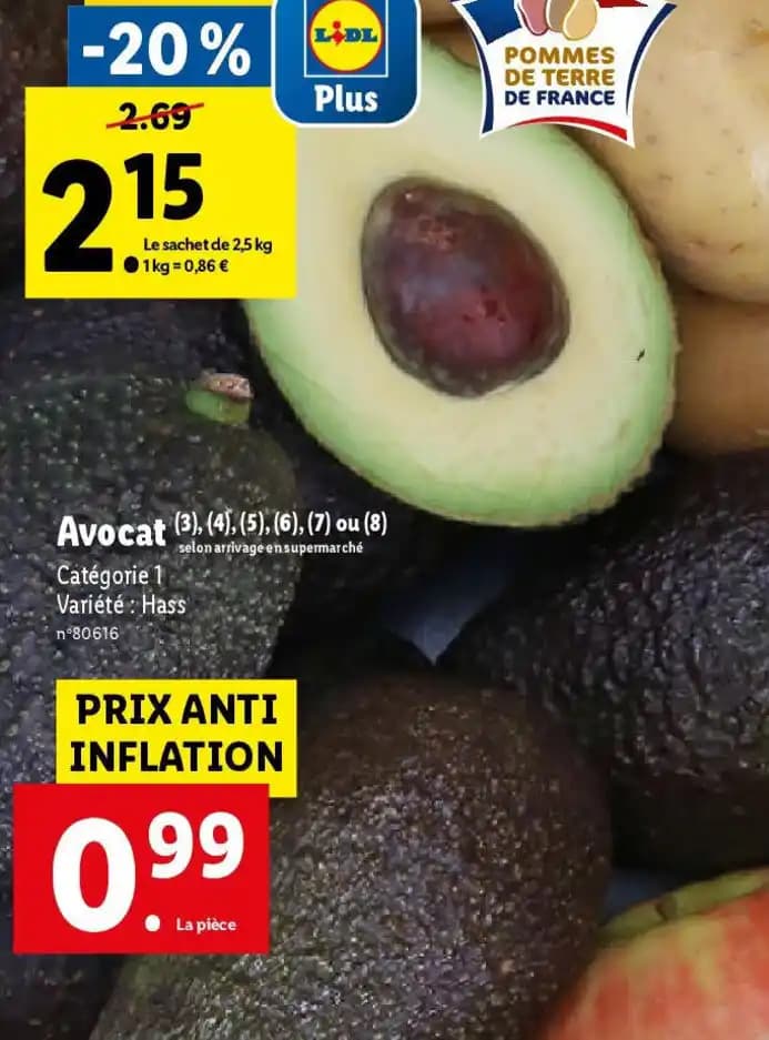 Avocat