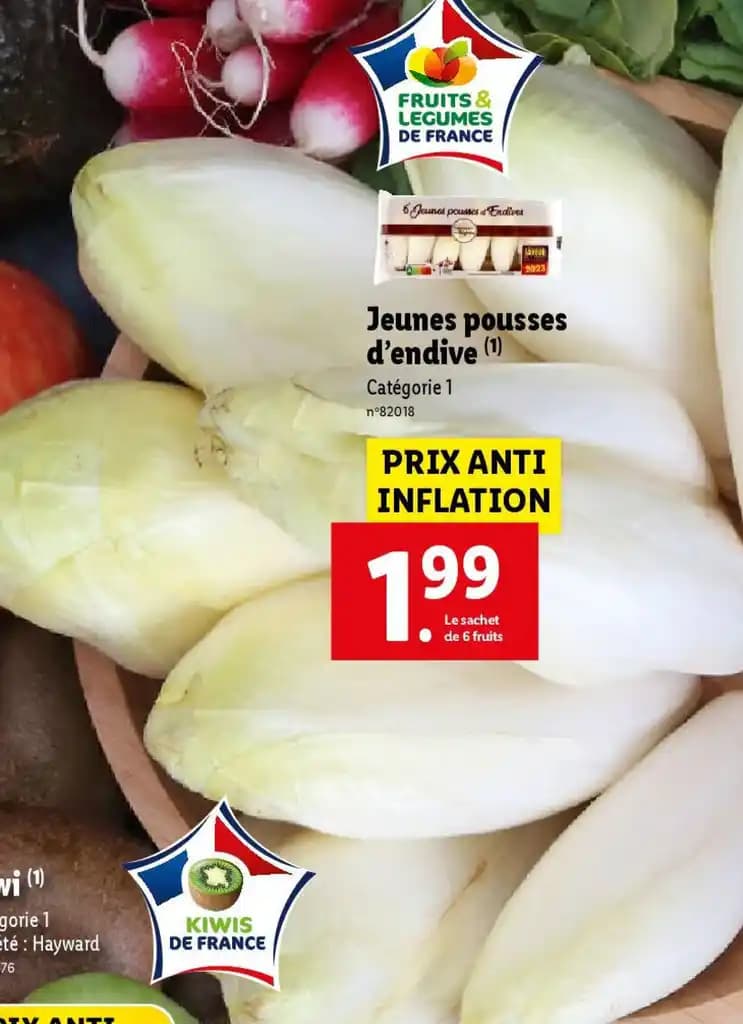 Jeunes pousses d'endive (1)