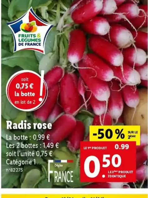 Radis rose