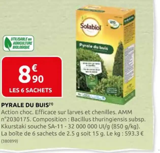 PYRALE DU BUIS (1)