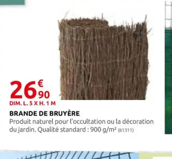 BRANDE DE BRUYÈRE
