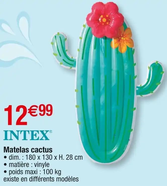 INTEX Matelas cactus