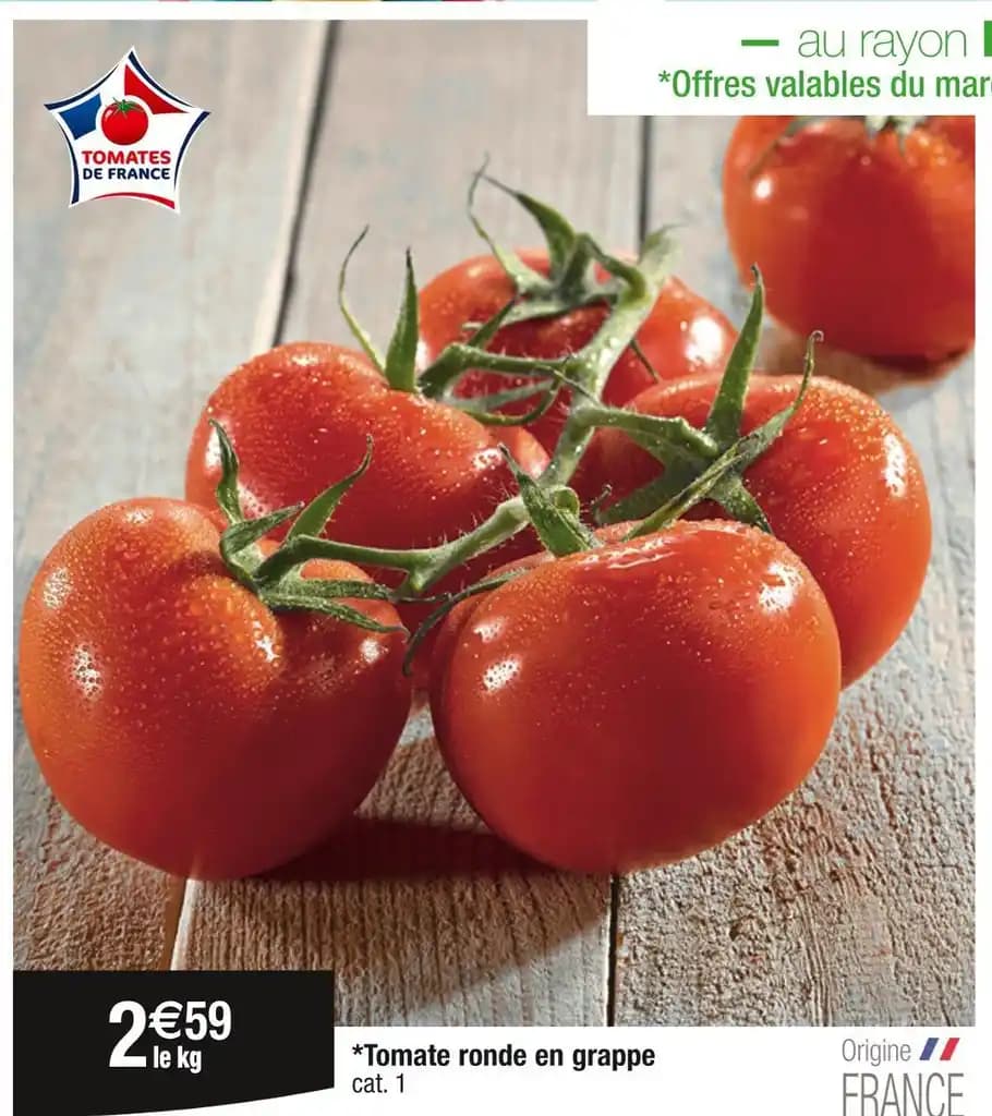 Tomate ronde en grappe