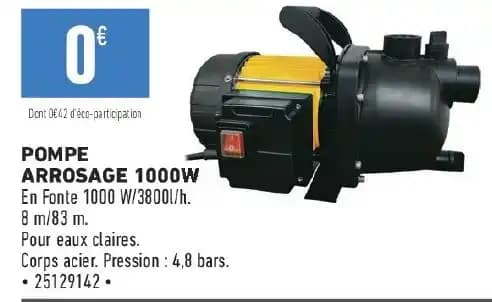 POMPE ARROSAGE 1000W