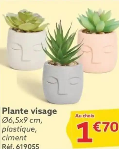 Plante visage