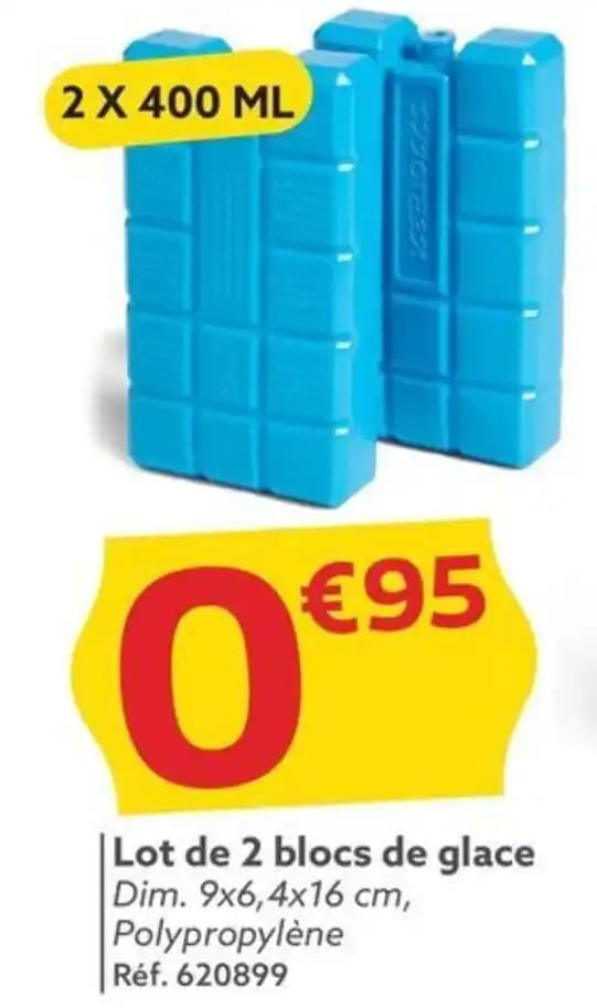 | Lot de 2 blocs de glace