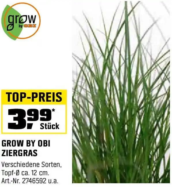 GROW BY OBI ZIERGRAS