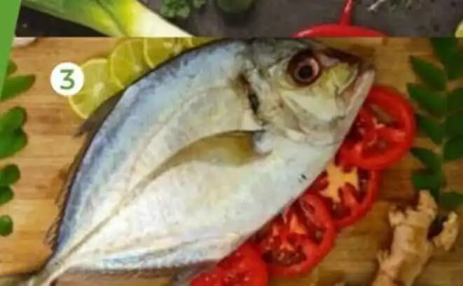 CARANGUE 600 À 800G