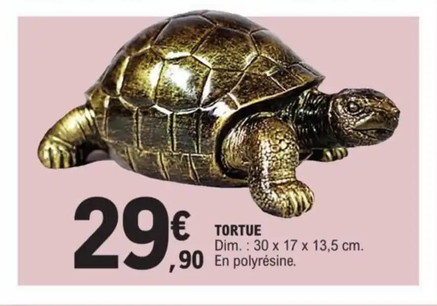 TORTUE